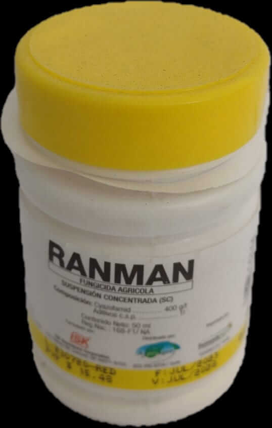 Ranman 50 cc