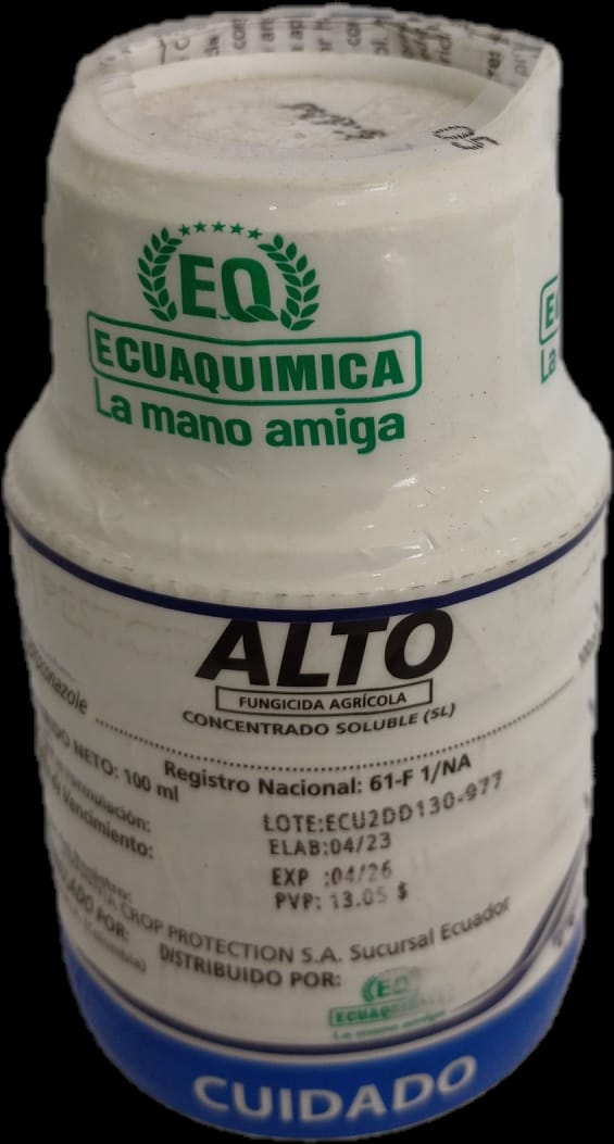 Alto 100 cc