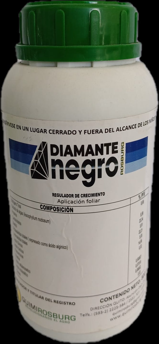 Diamante negro 500 cc