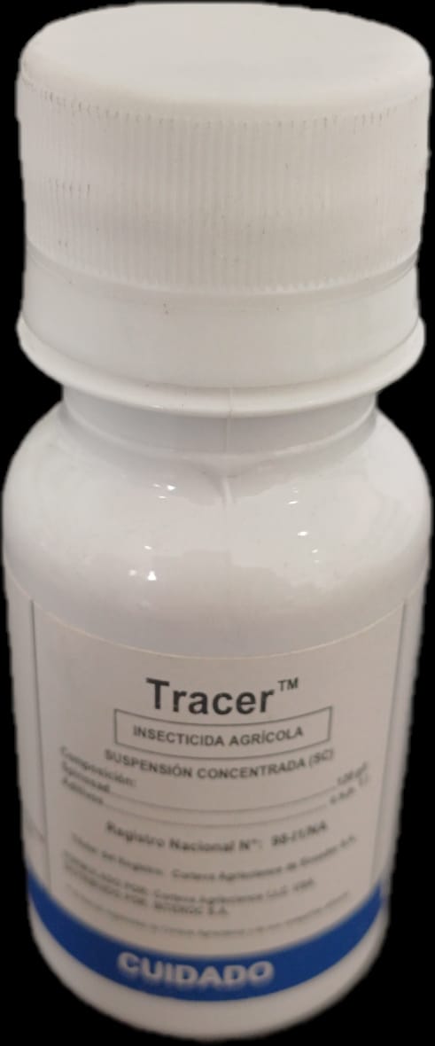 Tracer 100 cc