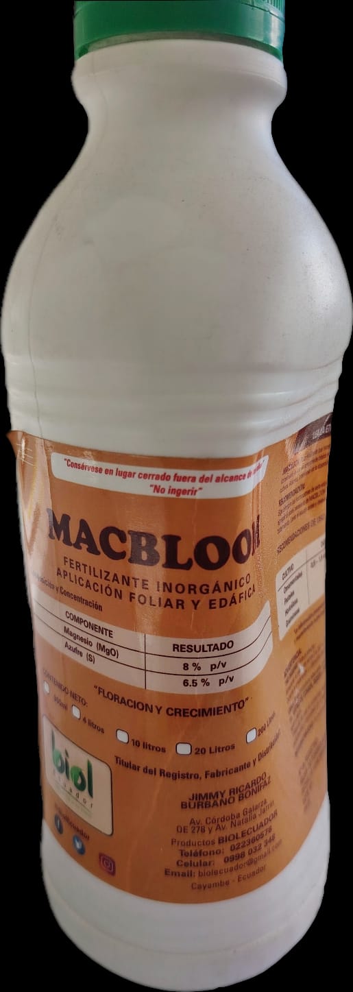 Macbloom 900 cc
