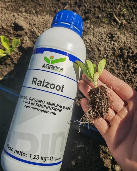 Raizoot 1 L