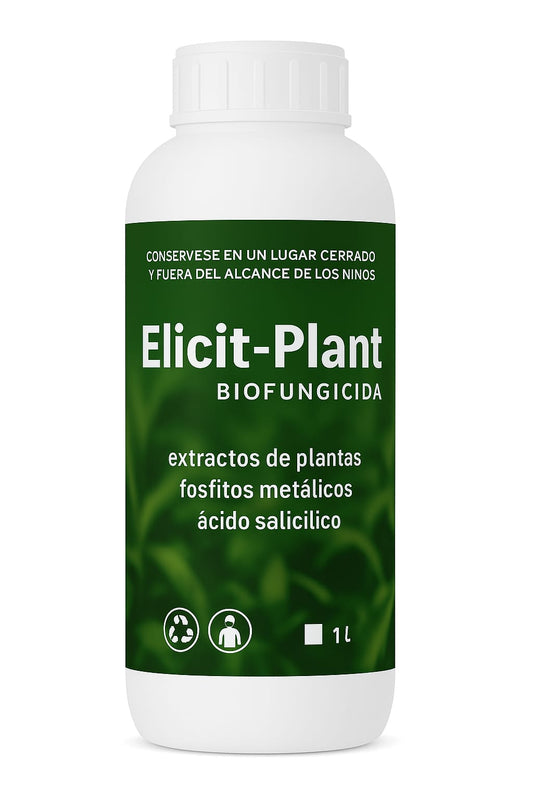 Elicit Plant